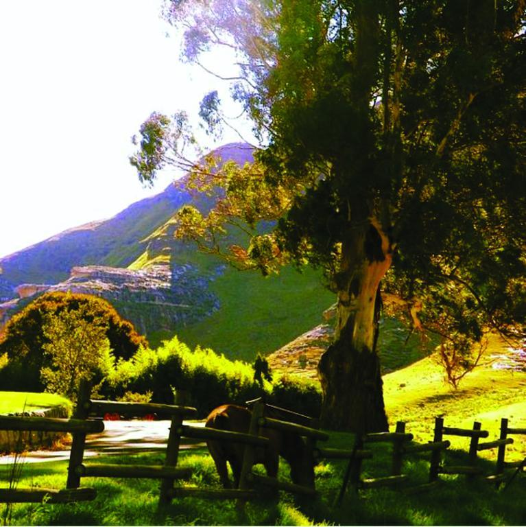 Lola'S Self Catering Accommodation Clarens Luaran gambar
